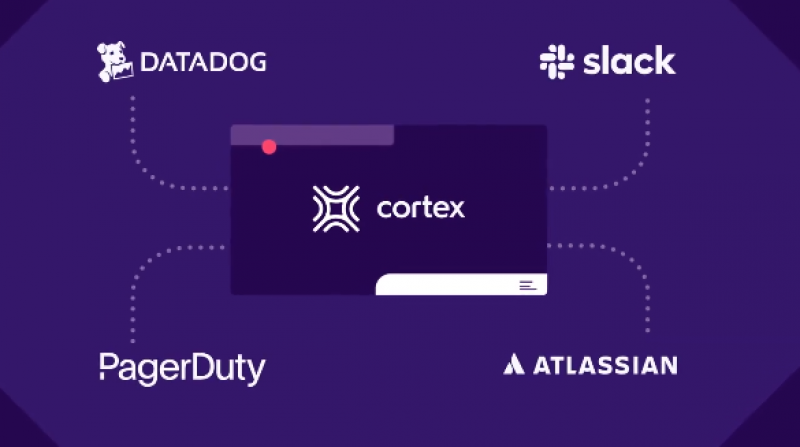 Cortex features